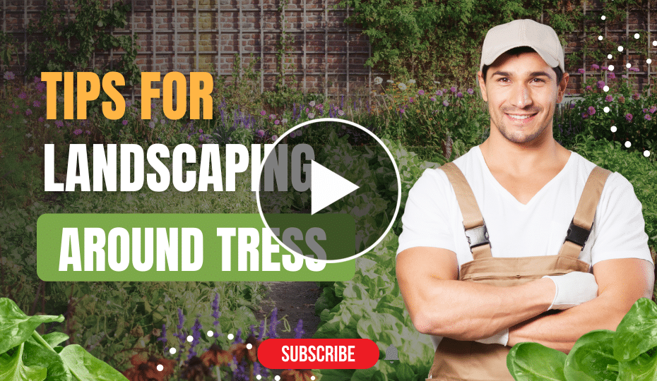 Landscaping Around Trees