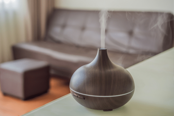 Best Ways To Add A Pleasant Fragrance To Your Home