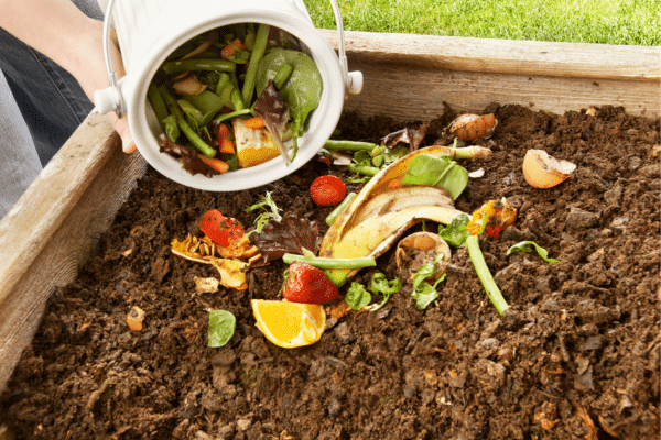 Ways To Minimize Food Waste