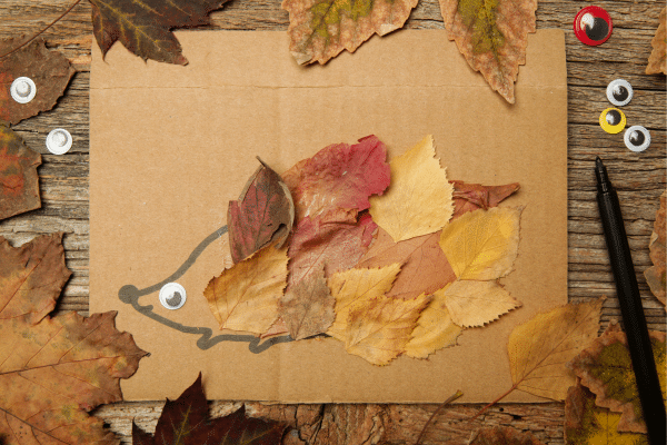 How To Deal With Leaves This Fall
