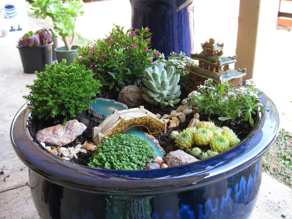 Create Your Own Zen: DIY Home Garden Guide