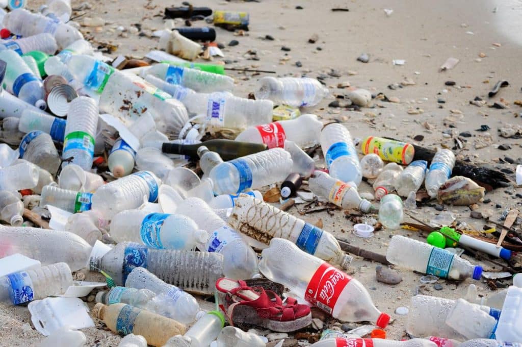 Plastic Pollution And Its Impact On Marine Life