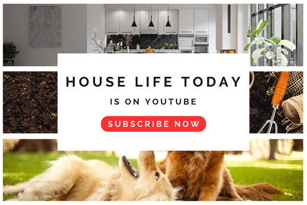House Life Today Youtube Promo
