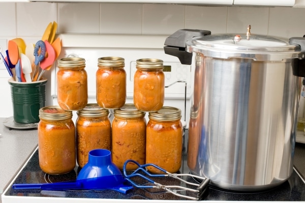 The Art of Preserving and Canning Your Own Food